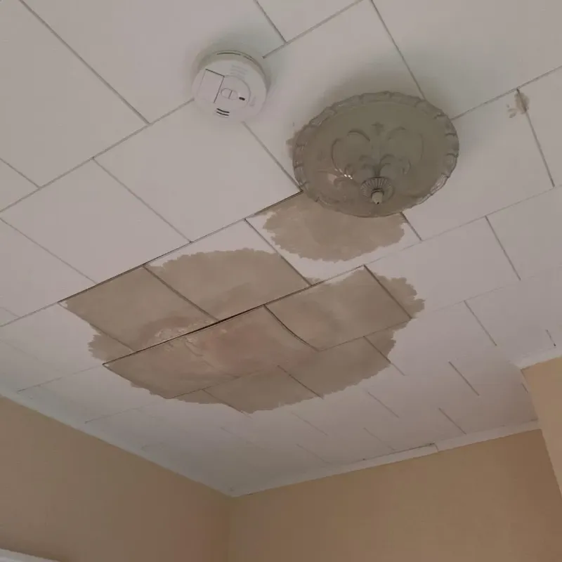 Ceiling Water Damage Repair in Moore County, NC