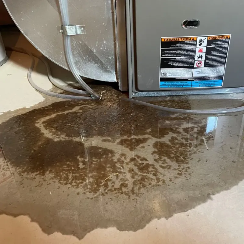 Pipe Burst and Leak Restoration in Moore County, NC